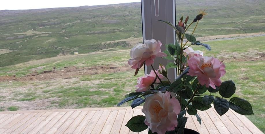 Studlagil Canyon Country Home Grund Esterno foto